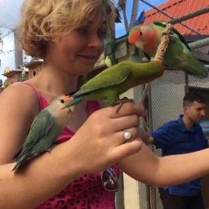 Meet your Posher, Anna